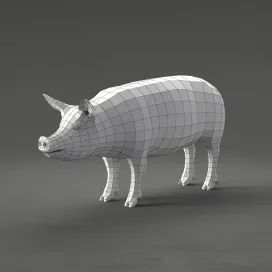 Pig